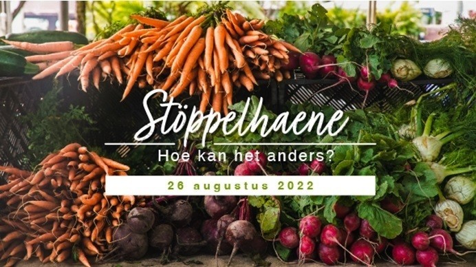 Stöppelhaene, Hoe kan het anders?, 28 augustus 2022