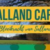 Salland Café, Bloeikracht van Salland